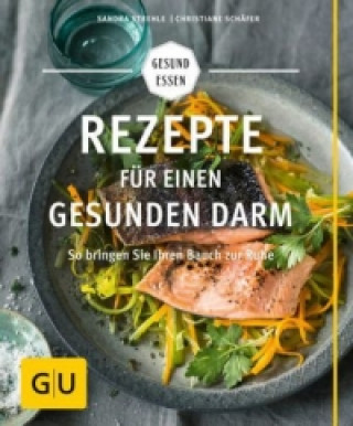 Kniha Rezepte für einen gesunden Darm Christiane Schäfer