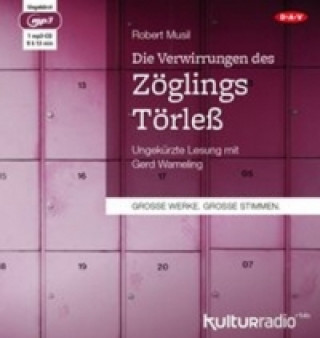 Audio Die Verwirrungen des Zöglings Törleß, 1 Audio-CD, 1 MP3 Robert Musil