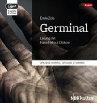 Аудио Germinal, 2 Audio-CD, 2 MP3 Émile Zola