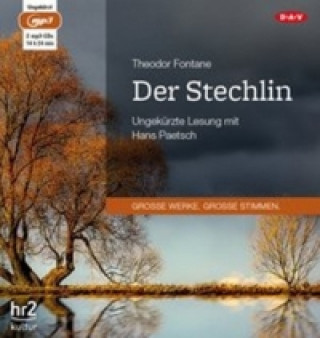 Audio Der Stechlin, 2 Audio-CD, 2 MP3 Theodor Fontane