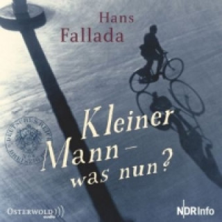 Audio Kleiner Mann - was nun?, 1 Audio-CD Hans Fallada