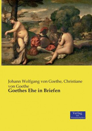 Kniha Goethes Ehe in Briefen Johann Wolfgang Von Goethe