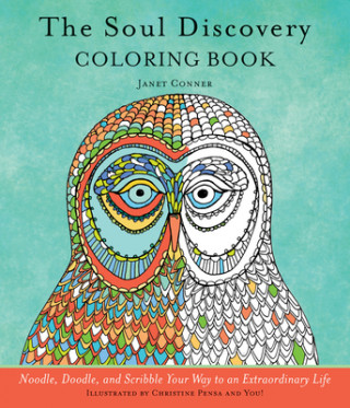 Book Soul Discovery Drawing Book Janet Conner