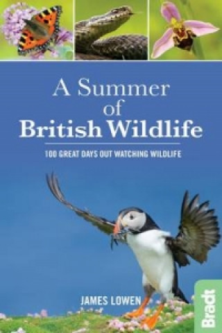 Kniha Summer of British Wildlife James Lowen