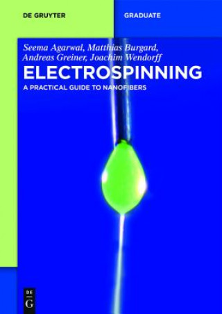 Knjiga Electrospinning Seema Agarwal