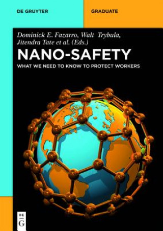Книга Nano-Safety Dominick E. Fazarro