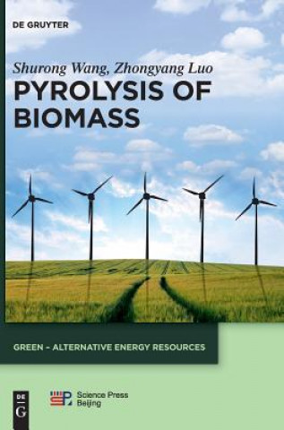 Книга Pyrolysis of Biomass Shurong Wang