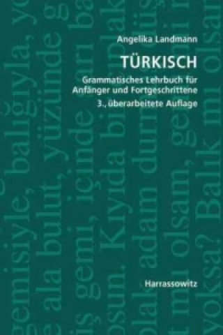 Kniha Türkisch, m. MP3-CD Angelika Landmann
