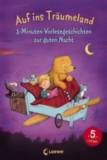 Könyv Auf ins Träumeland Loewe Vorlesebücher