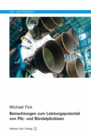 Книга Betrachtungen zum Leistungspotential von Pilz- und Bündelpilzdüsen Michael Fick