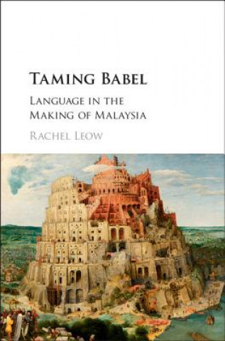 Buch Taming Babel Rachel Leow
