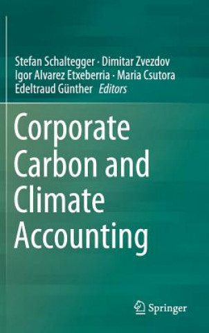 Kniha Corporate Carbon and Climate Accounting Stefan Schaltegger