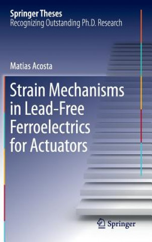 Książka Strain Mechanisms in Lead-Free Ferroelectrics for Actuators Matias Acosta