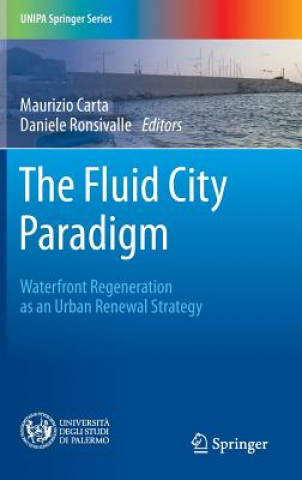 Kniha Fluid City Paradigm Maurizio Carta