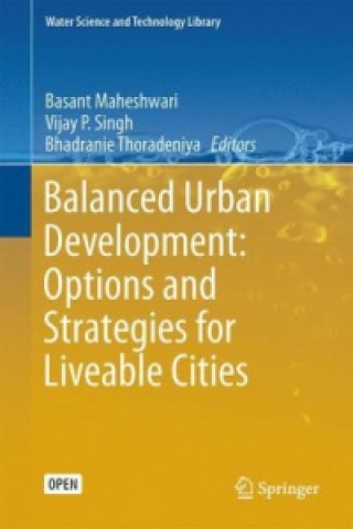 Buch Balanced Urban Development: Options and Strategies for Liveable Cities Basant Maheshwari