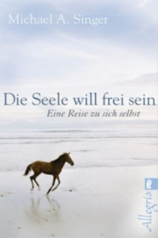 Kniha Die Seele will frei sein Michael A. Singer