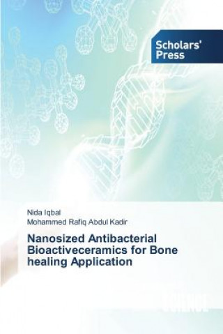 Knjiga Nanosized Antibacterial Bioactiveceramics for Bone healing Application Iqbal Nida