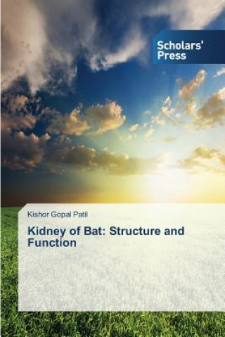 Książka Kidney of Bat Patil Kishor Gopal