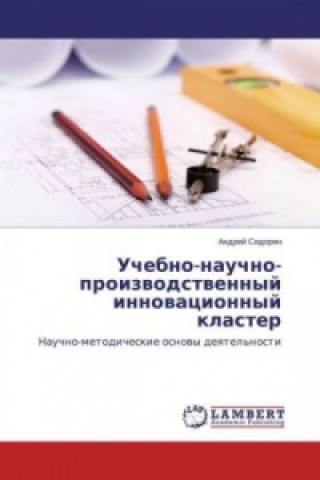 Könyv Uchebno-nauchno-proizvodstvennyj innovacionnyj klaster Andrej Sidorin