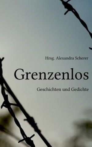 Buch Grenzenlos Alexandra Scherer