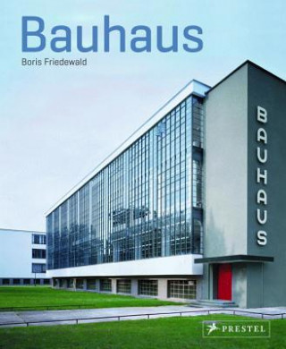 Kniha Bauhaus Boris Friedewald