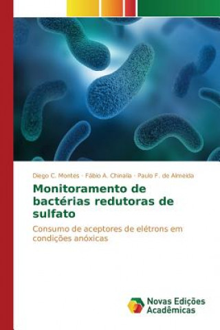 Buch Monitoramento de bacterias redutoras de sulfato C Montes Diego