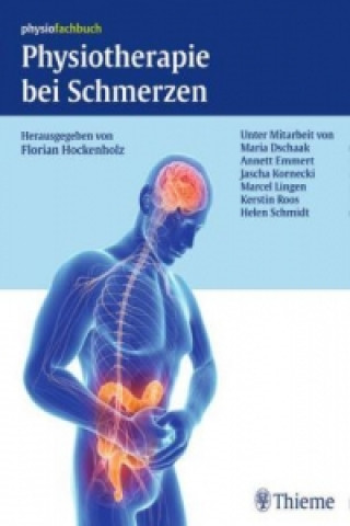 Kniha Physiotherapie bei Schmerzen Florian Hockenholz