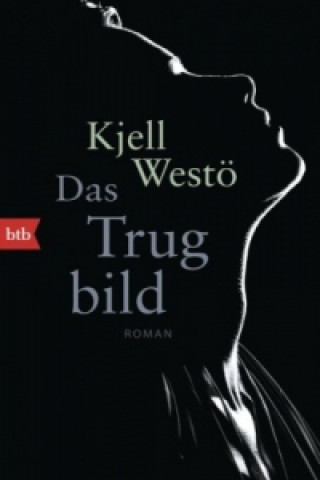Könyv Das Trugbild Kjell Westö