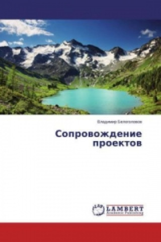 Könyv Soprovozhdenie proektov Vladimir Belogolovov