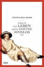 Könyv Warum ein Leben ohne Goethe sinnlos ist Stefan Bollmann