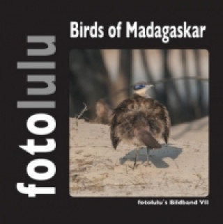 Carte Birds of Madagaskar fotolulu
