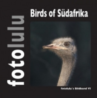 Könyv Birds of Südafrika fotolulu