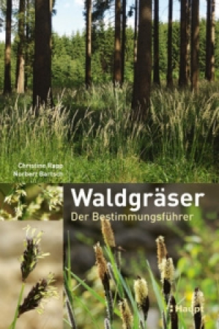 Kniha Waldgräser Christine Rapp