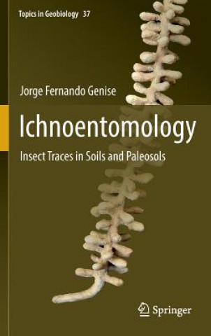 Kniha Ichnoentomology Jorge Ferando Genise