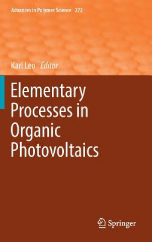 Kniha Elementary Processes in Organic Photovoltaics Karl Leo