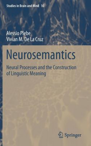 Kniha Neurosemantics Alessio Plebe