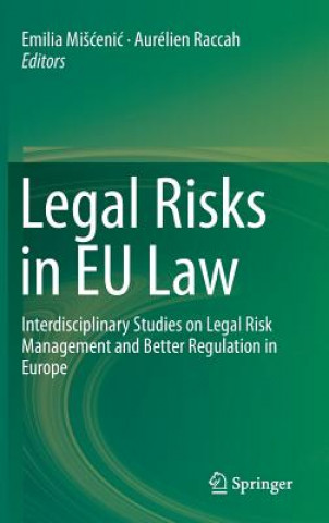 Kniha Legal Risks in EU Law Emilia MiScenic