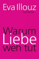 Könyv Warum Liebe weh tut Eva Illouz