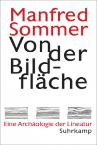Könyv Von der Bildfläche Manfred Sommer