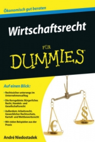 Kniha Wirtschaftsrecht fur Dummies André Niedostadek
