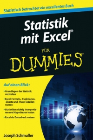 Knjiga Statistik mit Excel fur Dummies Joseph Schmuller