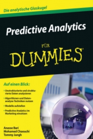 Buch Predictive Analytics fur Dummies Anasse Bari