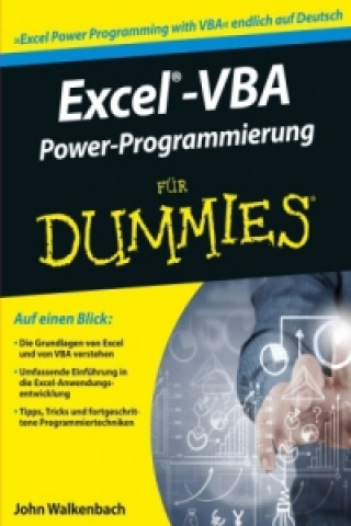 Carte Excel-VBA Alles in einem Band fur Dummies Michael Alexander