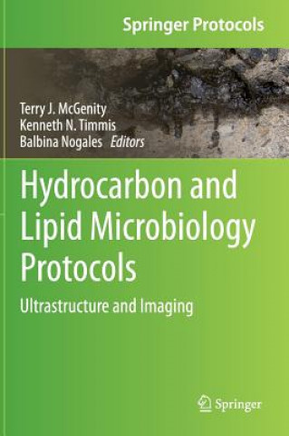 Kniha Hydrocarbon and Lipid Microbiology Protocols Terry J. McGenity