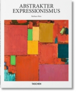 Buch Abstrakter Expressionismus Barbara Hess