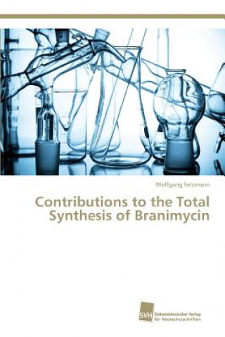 Könyv Contributions to the Total Synthesis of Branimycin Felzmann Wolfgang