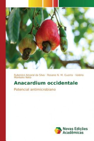 Buch Anacardium occidentale Amaral Da Silva Rubenice