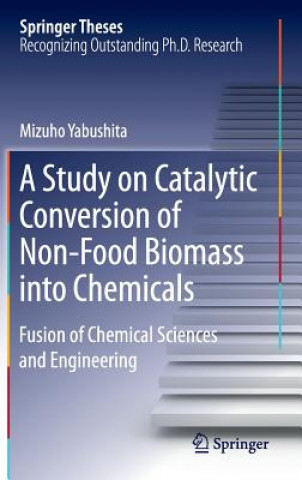 Könyv Study on Catalytic Conversion of Non-Food Biomass into Chemicals Mizuho Yabushita