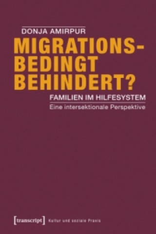 Knjiga Migrationsbedingt behindert? Donja Amirpur