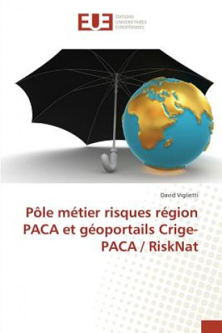 Knjiga Pole Metier Risques Region Paca Et Geoportails Crige-Paca / Risknat Viglietti-D